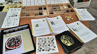Information on pulses at the stand of the "Global Bean Project" at the open day of the Ministry of Environment