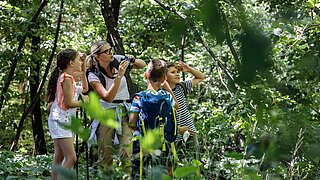Eine Gruppe Kinder erkundet mit einer Erwachsenen einen Wald