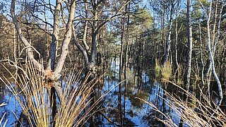 LIFE-NAT-Vernetzungstreffen 2024