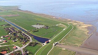 Landschaft aus Wiesen und Wasser aus der Vogelperspektive.