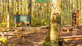 Eine Schultafel und Sitzbänke im Wald
