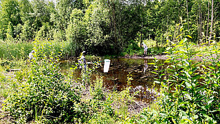 Naturnahes Gewässer