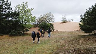 Mehrere Personen wandern in Richtung einer Sanddüne Sandbergs. Man sieht sie von hinten. 