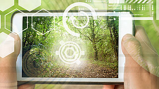 Waldlandschaft auf dem Bildschirm eines Smartphones
