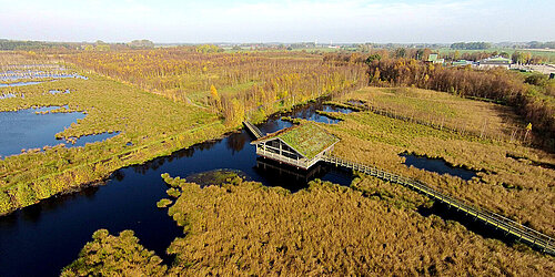 Luftaufnahme eines Moors mit Wasserwegen und einer Holzhütte