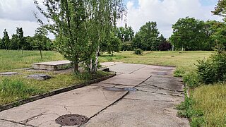 eine Grünfläche mit einigen Bäumen, in der Mitte ein aus großen Zementplatten gelegter Weg