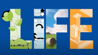 Der Name "LIFE" in vier hellen Großbuchstaben auf dunkelblauem Grund