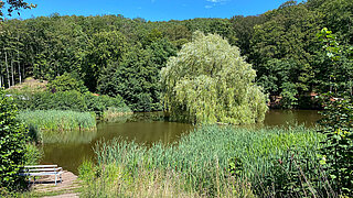 Der Schlossteich in der Stadt Sangerhausen
