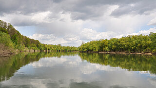 River with green bank on both sides
