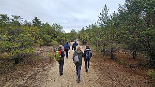 Mehrere Personen wandern auf einem Sandweg durch ein relativ junges Waldgebiet (kleinere Nadelbäume)