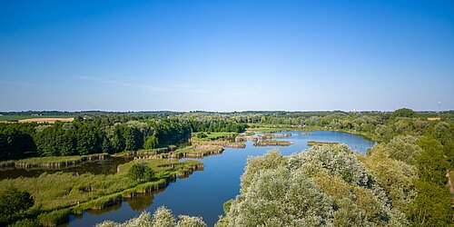 Mitteleuropäische Auenlandschaft mit mäanderndem Fluss
