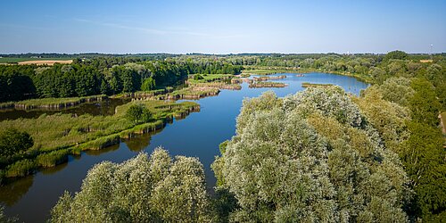 Mitteleuropäische Auenlandschaft mit mäanderndem Fluss