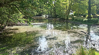 Teich auf dem Gut Weyer im Kreis Düren