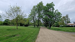 Ein Sandweg, an den Seiten Wiese, im Hintergrund einige Bäume