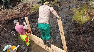 Zwei Bauarbeiter errichten eine Wand aus Holz, um einen Graben im Wald zu verschließen.