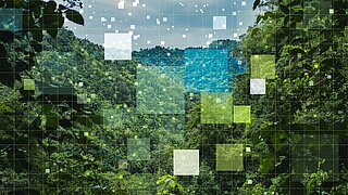 Abstrakte Naturszene, im Hintergrund Wald, darüber gelegt transparente Quadrate in Blau- und Grüntönen