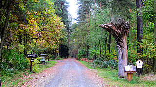 Waldweg mit Schotterbelag, rechts ein Baumstamm mit aufgeschlagenem Buch und Vogelhaus, links ein Wegweiser und Infotafel, umgeben von herbstlich gefärbtem Laubwald