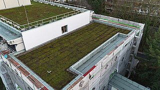 Blick auf ein begrüntes Flachdach