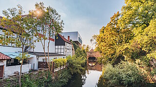 Wohnhäuser an einem städtischen Fluss mit begrüntem Ufer