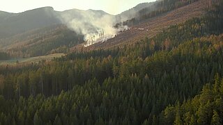 Rauch steigt von einem teilweise abgeholzten Berghang über einem dichten Nadelwald auf; im Hintergrund sind bewaldete Berge zu sehen.