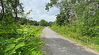 Ein asphaltierter Radweg in ländlicher Umgebung