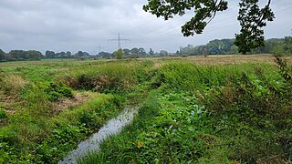 Wiese, Bäume und in der Mitte ein kleiner Graben mit Wasser.