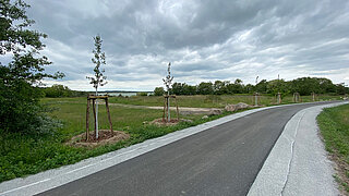 Ein asphaltierter Radweg in ländlicher Umgebung
