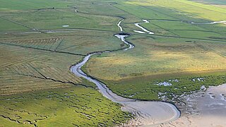 Salzwiesen, Wasser und Watt im Nationalpark Niedersächsisches Wattenmeer.