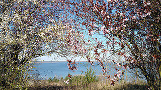 Projektgebiet Lausitzer Seenland