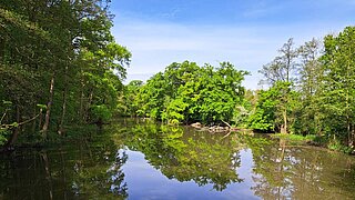 Eine Wasserfläche, umsäumt von Bäumen
