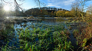 Landschaft mit Gewässer, Pflanzen, Bäumen und umgeben von Hügeln