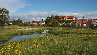 Eine Wiese mit einem Gewässer, im Hintergrund ein Dorf