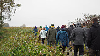 Viele Menschen wandern einen Weg entlang, an der Seite stehen Schilfpflanzen. 