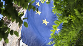 EU-Flagge hinter Bäumen