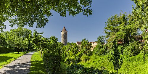 Grüne Landschaft und dörfliche Gebäude