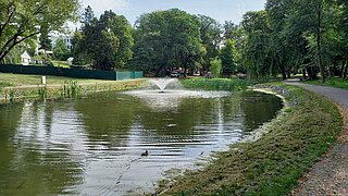 Teich mit einem Entenpaar auf dem Wasser und einem Teichbelüfter in der Mitte