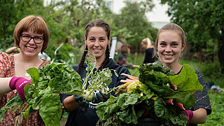 Drei Frauen mit Ernte