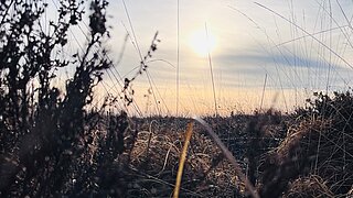 Ein Moorgebiet bei Sonnenuntergang