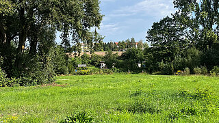 Naturnahe Gestaltung des ehemaligen Naturbades Rehmsdorf
