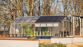 Gewächshaus im Schulgarten in Kolkwitz