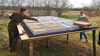 Ein Mann legt Substratplatten aus Binsen, Schilf, Seggen und Gräsern als Wachstumsgrundlage für Dachbegrünungen in Metallkästen aus.