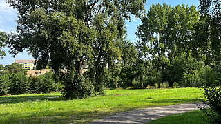 Rundweg im ehemaligen Naturbad Rehmsdorf