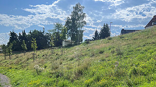 Hang im ehemaligen Naturbad Rehmsdorf