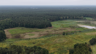 Blick auf eine Seewiesenfläche von oben