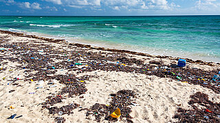 Plastic garbage on the sea beach