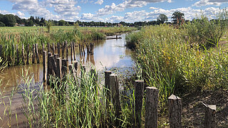 Fluss mit Holzpfählen am Ufer und dichter Vegetation unter blauem Himmel mit Wolken