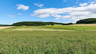 Ökologischer Landbau in der Schwäbische Alb