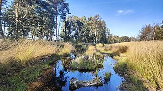 LIFE-NAT-Vernetzungstreffen 2024