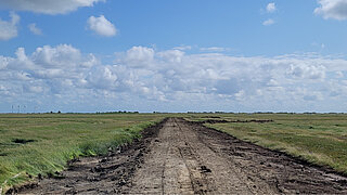 Panorama einer Wiese zwischen Küste und Land