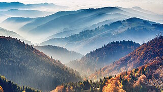 Neblige Berglandschaft